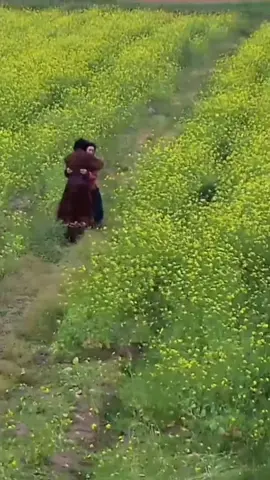 #ханзадажумонг #jumong #жумонг #сериалы #чумон 