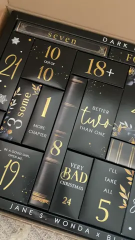 Dark romance advent calendar  #BookTok #darkromance #bookadventcalender #wondaversum 