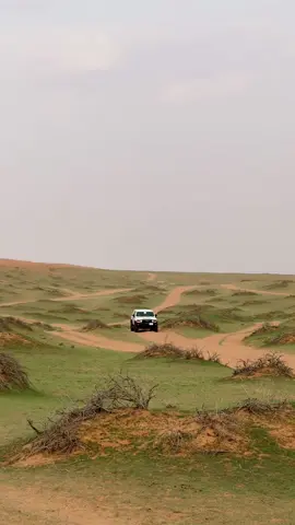 #سعد_الحريص 