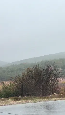 جو الشتا🇯🇴عجلون