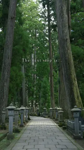 📍美しい和歌山の街並み【和歌山】  The next station is Wakayama Where would you like to visit in Wakayama? Would you like to walk through the beautiful cityscape of Wakayama at night? Reel🎥: @howell.wakayama  I'm videographer in Wakayama, Japan🇯🇵 ______________ #Japan #japantravel #japantrip #visitjapan #traveljapan  #京都 #kyoto #和歌山 #和歌山観光 #和歌山旅行 #wakayama