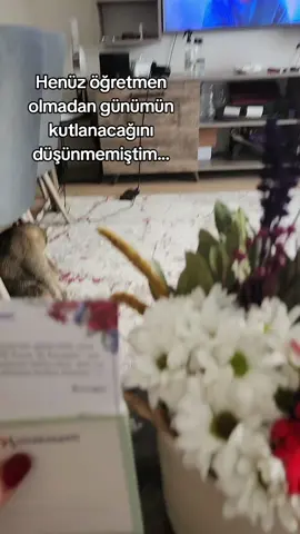 Belki birlikte geçirdiğimiz ilk Kasım değil ama çok özel bir Kasım bu sevgilim, teşekkür ederim iyi ki varsın Kıvırcığım...@Tamerstein  #snowman #çiçek #çiceksepeti #hediye #öğretmenlergünü #öğretmen #bahar #öğretmenöğrenci #kesfet #viral_video 
