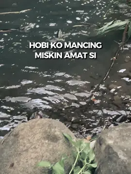 Jangan merendahin bray #mancingmania #mancing #shimano #stella #fyp #viral  #vi #viralvideo #hobimancing 