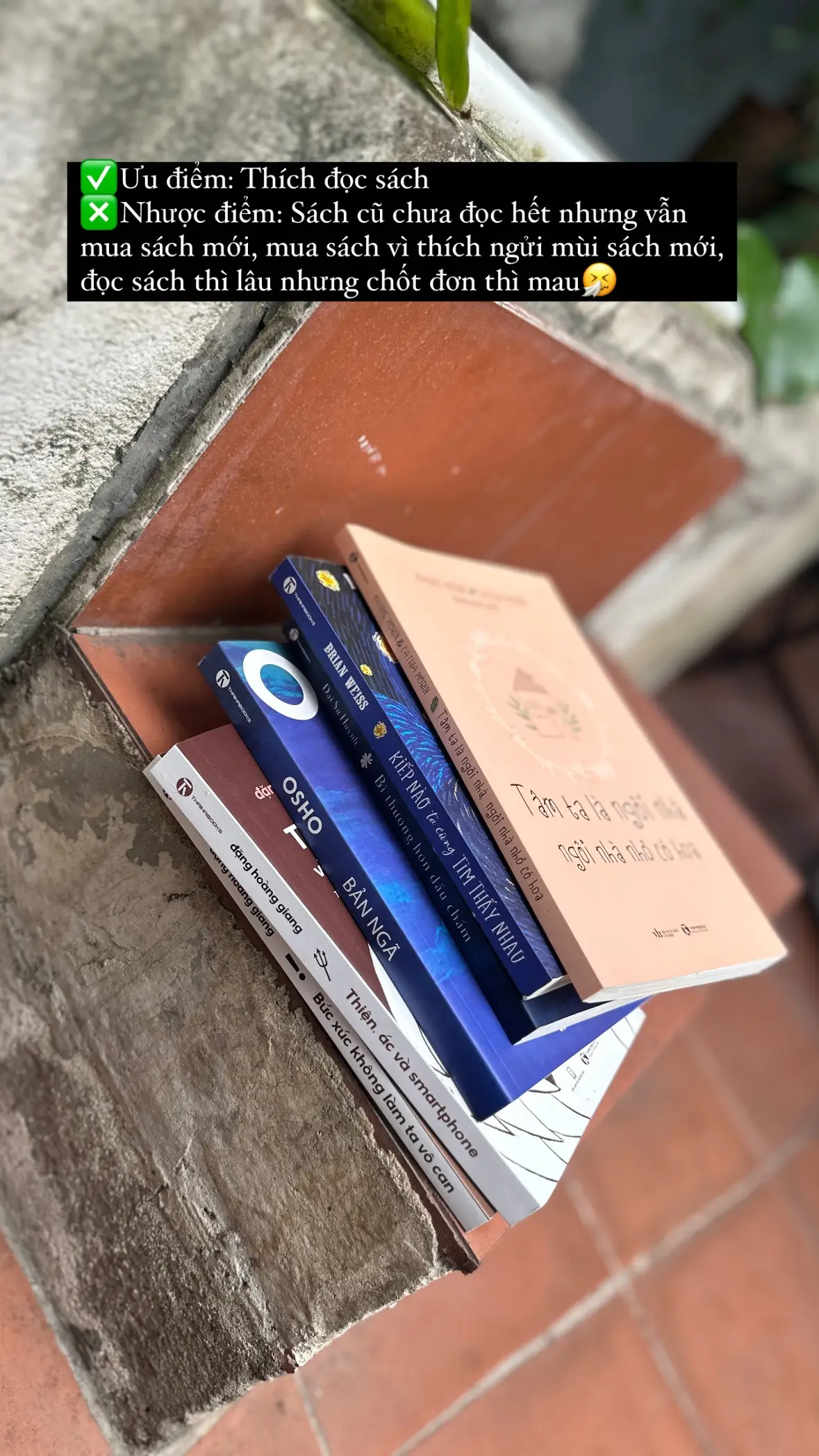 #books #BookTok #booktokbrasil #reading📖 #sach #docsach #readingnnwithstyle #thaihabooks #motchutsach 