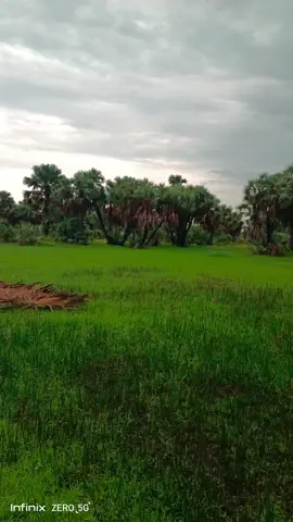 #CapCut  #southsudantiktokers🇸🇸  #kenyantiktok🇰🇪  #nuer  #LeerCounty