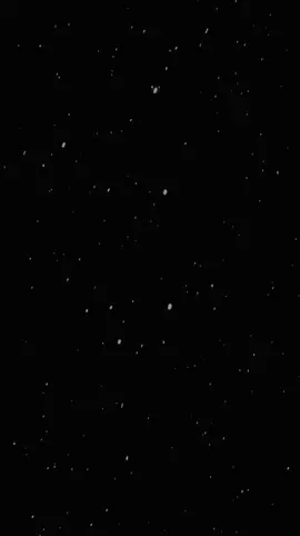 #CapCut đú trend muộn nhất tik tok #xuhuong #fyp #xh #noel #caythong 