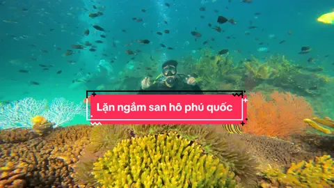 Trãi nghiệm lặn ngắm san hô phú quốc nào mn ơi#xuhuongtiktok #honthom #lanbien #nguyenvuquanvan #phuquoc 