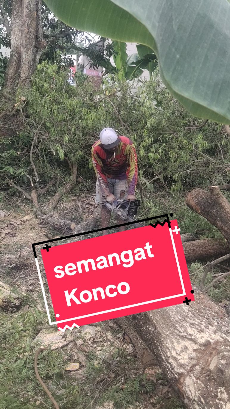 kerjo ku yo ngene ki konco pejuang keluarga #kerjokuyopancenngeneiki ,#pejuangrupiah ,#pejuangkeluarga ,#fyp ,#viral ,#trending ,#tebangpohon ,#tebangkayu ,#potongpohon ,