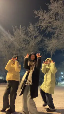 Comeback this trend🎄❄️ #merrychristmas #christmas #kpop #exo #challenge #рек #fyp 