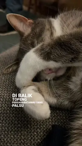 #kekasihbayangan 