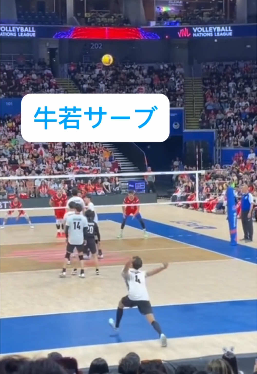 めっちゃ曲がるやんっ！！ 牛若半端ないって #バレーボール #volleyball #ハイキュー #サウスポー #牛島若利  @牛若くん🐮🏐 @だいすけ🦔🏐 @たつ🐉👶🏻🏐 @JUN🐶⚒🏐 @なおや🦩✌️ @ななみ🐿️🏐 @みゆ🐰ྀི🤍 