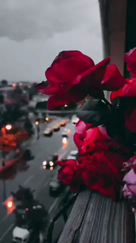 #рекомендации #любовь❤️❤️‍🔥❤️‍ #счастье 