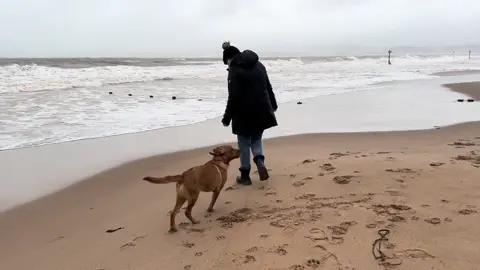 #devon #stormbert #storm #breesworld❤️ #staffordshirebullterrier #spaniel #sistersforever #beach 