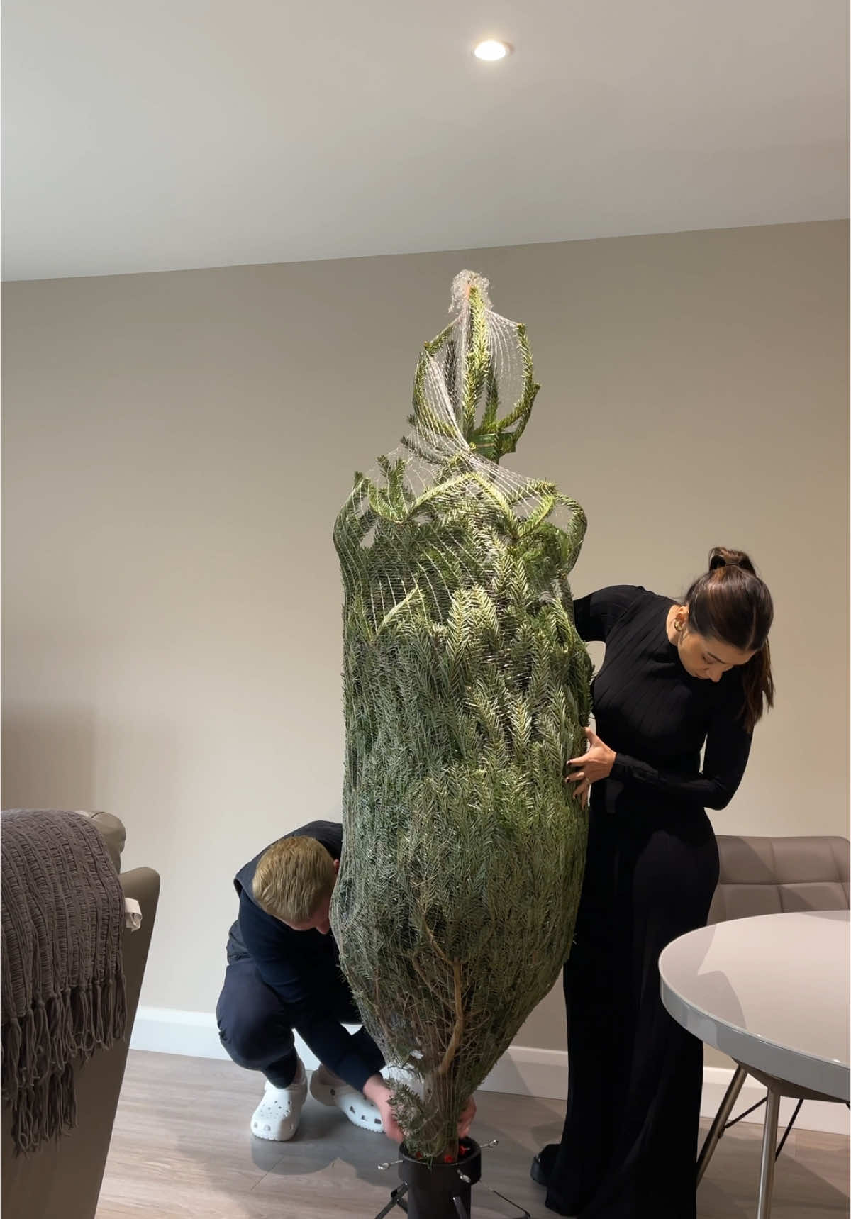 Meu rolê preferido: comprar uma arvore de natal natural!  #christmas #christimastree #arvoredenatal 