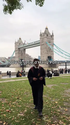 Big French TV 🧙🪄 #harrypotter #humour #fyp #pourtoi #viral #drole #foryou #funny #tiktok #foryoupage #mdr 