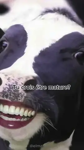 Tu crois etre mature? Test de maturité!😎 #essayedenepasrire #testdematurité #maturite #test 