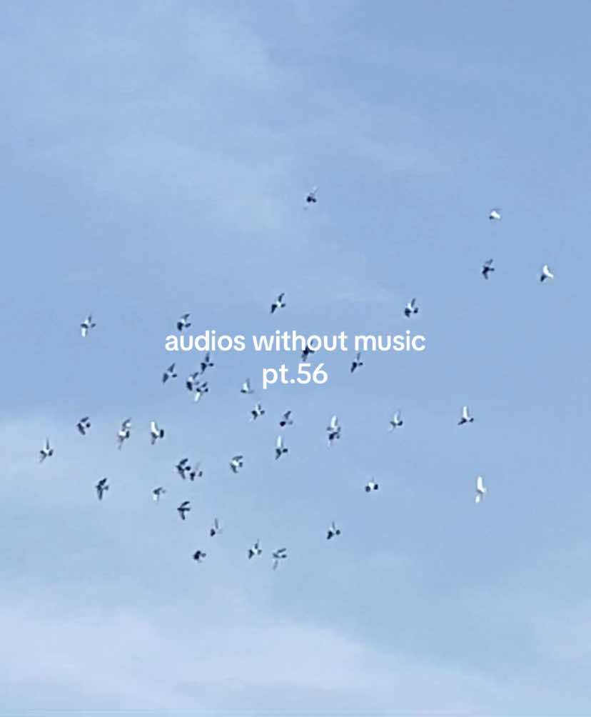 audios without music. #foryou #muslim #islam #fyp #foryoupage #audios #muslimah #viral #trending #fypp #fyppp #fypppp #fyppppp #fyppppppppppppppppppppppp 