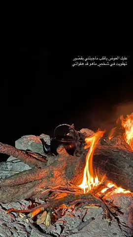 #سجه_نشاما #متابعه_ولايك_واكسبلور_فضلا_ليس_امر #لايك❤️ #تفاعلكم #الشتاء_وشبة_النار #برادي #نار #حطب_ونار🔥 #عباراتكم_الفخمه📿📌 #الشعب_الصيني_ماله_حل😂✌️ 