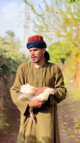 خش هتجيبك عين بذره مش هتسيبك  #الحاج_ريعو #علي_الصغير 