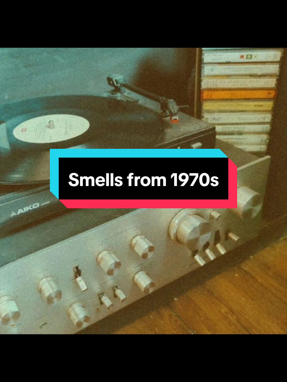 #1970s #70s #1970saesthetic #70smemories #livinginthe70s #rememberwhen #memorylane #memoryunlocked #70snostalgia #nostalgia #nostalgiacore #nostalgiatiktok #yesterday #thegoodolddays #genx #genxtiktokers #genxers #genxersoftiktok #babyboomers #boomersoftiktok #childhoodmemories #viral #relatable #viralvideotiktok #vintage 