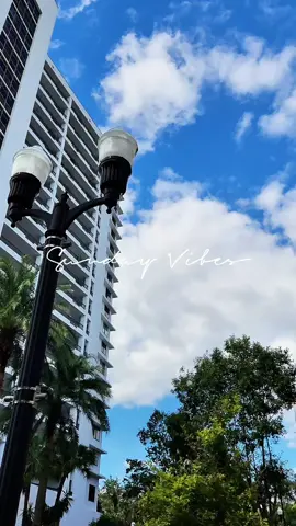 Me 🤝🏾 Sunday farmers markets 🔐🤞🏾♾️ I'd been looking for Tupelo honey for months and I finally found some! 🍯 I also wanted to buy a snake plant and microgreens, and I was able to get my hands on those too 🌱🤗 SN: If you're a honey lover and you like the taste of marshmallows, then give the Tupelo flavor a try. It's my absolute favorite ♡ Xoxo, Bella 💋 #sundayfarmersmarket  #tupelohoney  #snakeplant  #microgreens  #lifestylevlog  #minivlog #farmersmarketvlog 