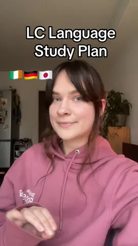 Here’s how I studied 3 languages for the Leaving Cert 😊📚✨ #leavingcert #irish #ireland #guesstheplayer 