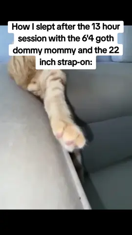 Non-stop fever dreams 🤩 #cat #cats #kitten #goth #gothdommymommy #dommymommy #cute #cutie #beautiful #sleep #couch 