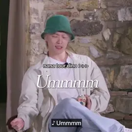 nana tour is my new comfort series 😔🫶🏻 i feel like i’m there with them. ㅠㅠ #seventeen #svtnanatour 