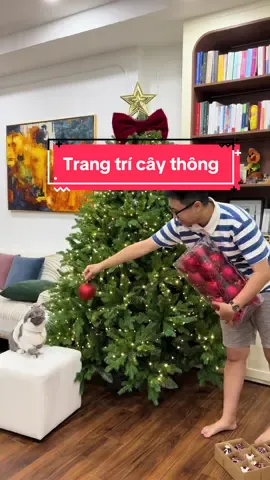 Lần đầu trang trí cây thông 🤣#christmastreedecorating#trangtricaythong#noel  
