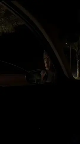 مـحـنآش ناقصـين هنفآرق مـين آلمـرادي.. 😔🖤