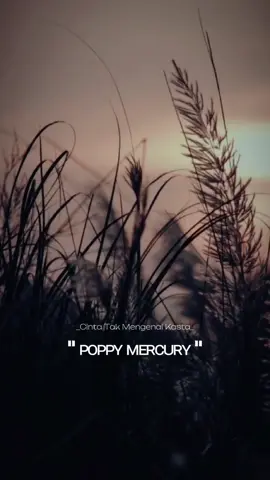 Cinta tak Mengenal Kasta-Poppy Mercury #liriklagu 