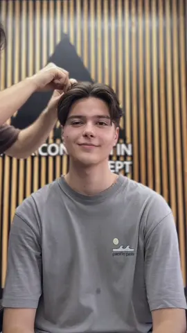 #fypシ #fyromania #middleparthairstyle 