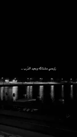 #باسم_الكربلائي 