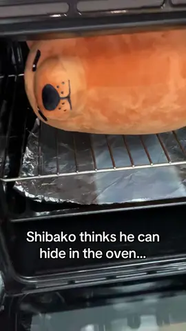 Adopt @Shibako Plush™ - LINK IN BIO 😆🥚🔗Use code [BLACKFRIDAY] for 40% OFF #shibako #shibakoplush 