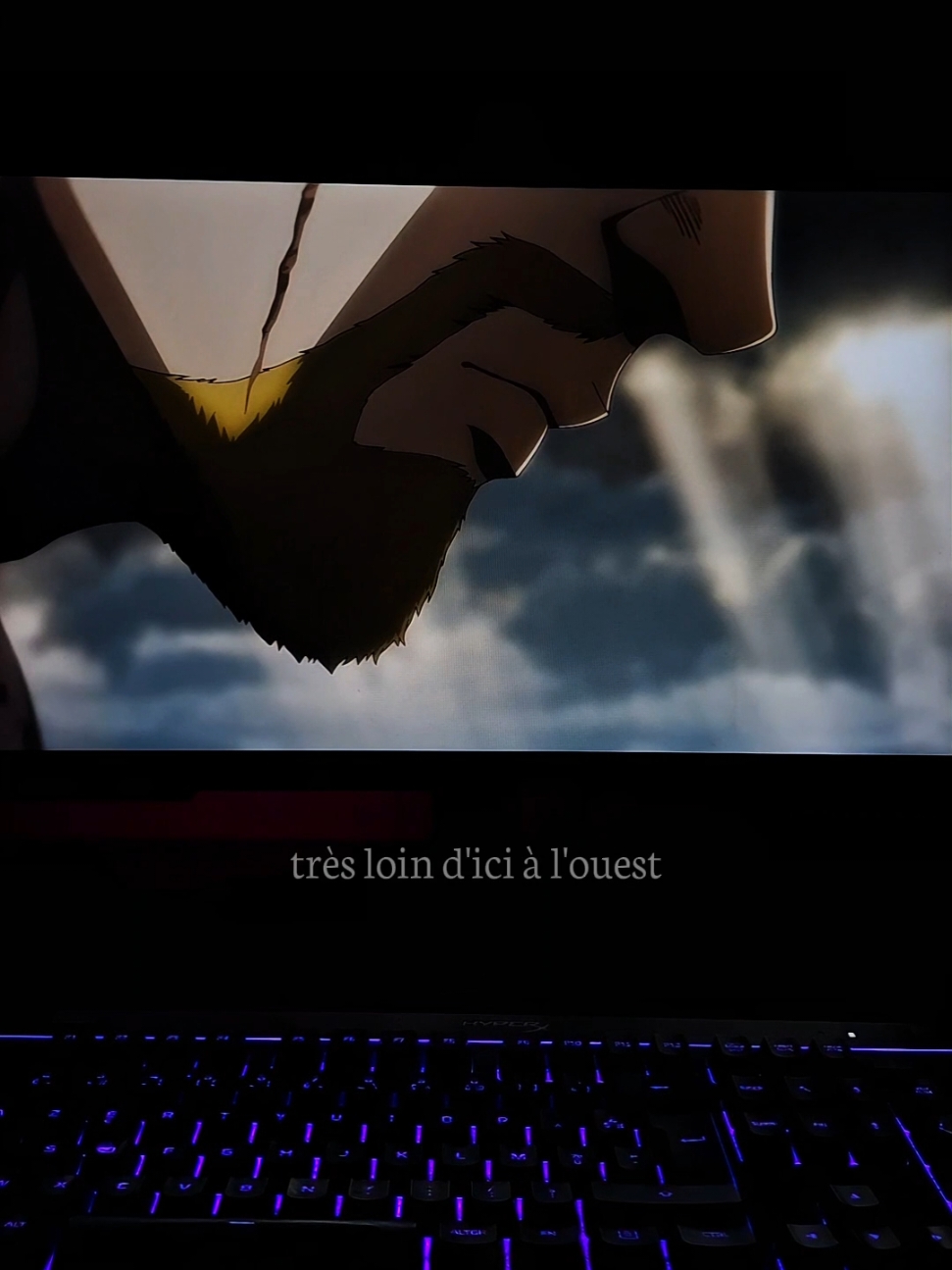 très loin d'ici à l'ouest... #anime #vinlandsaga #animeedit #sad #citation 