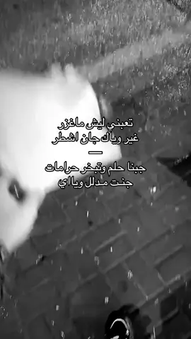 #ابو_شتوي #عراقي #مسرع #اغاني #مسرعه💥 #اكسبلور #مالي_خلق_احط_هاشتاقات #كسرات #عود #شعبي 