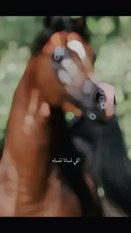 #CapCut #كبسلور 