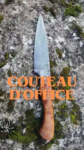 Couteau d_office الدقة في التقطيع - كيفية استخدام سكين المطبخ لتقطيع دقيق ومتقن.🔪🔪 #maroc #cuisinemaison #reels 