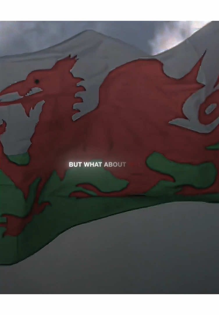 But what about 🏴󠁧󠁢󠁷󠁬󠁳󠁿 #UFC #mma #Wales 