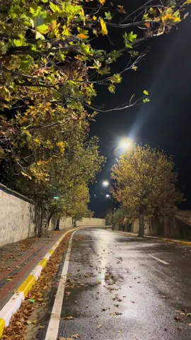 En sevdiğim hava durumu🥹#autumn #🧡 #🥹 