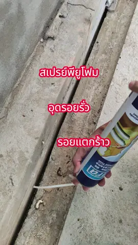 สเปรย์พียูโฟม อุดรอยรั่วรอยแตกร้าว ตามผนังกำแพง ช่องใต้หลังคา เซทตัวภายใน20นาที และแข็งตัวภายใน24ชม. ถ้าแข็งตัวแล้วเนื้อโฟมกดแล้วจะนิ่มๆ โดนแดดนานๆจะเปลี่ยนเป็นสีเหลือง แต่ถ้าอยู่ในที่ร่มจะไม่เปลี่ยนสี ขนาด 750 ml แถมหัวฉีด อุดรู ต่างๆได้ดี สเปรย์โฟมเอนกประสงค๋ PU Foam #สเปรย์โฟมอเนกประสงค์ #พียูโฟม #ดันขึ้นฟีดที