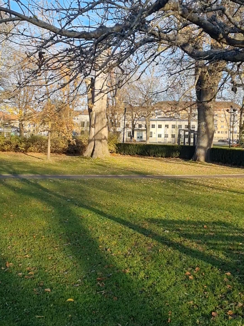 #sweden🇸🇪 #Uppsala #outdooradventures #naturephotography #fallbeauty #fallscenes #autumnsymphony #naturephotography #Uppsala my beautiful city 