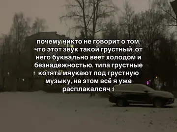 мяу счу улзазакьу #щитпост #рекомендации #котики 