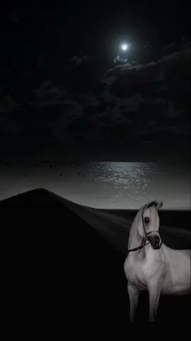 #شعر_قصيده_بوح_كلام_من_ذهب #تصميمي 