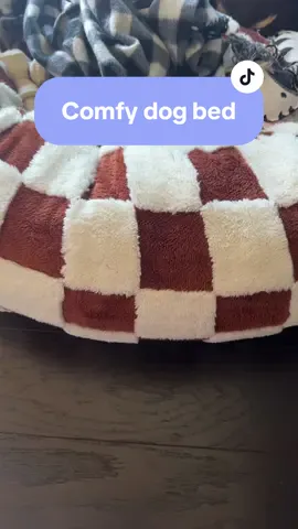 Hes all comfy! #lesure #petbed #dogsoftiktok #relax #gift @Lesure Pet 