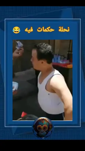 #CapCut #نحلة حكمات فيه 😂