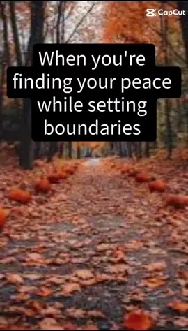 #Meme #MemeCut #CapCut #boundaries #peace #memestiktok #roadto10k 