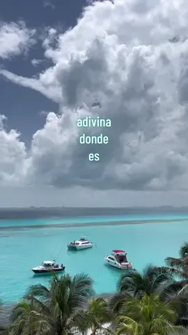 Un lugar hermoso en La Playa con mar maravilloso en una isla como un paraiso #SabiasQue #travel #viaje #viajes #viajar #playa #vacaciones #viajera #rivieramaya #parati #fyp #traveltiktok #marcaribe #cancun #fyp #divertido #diversion #paradise #caribemexicano #mexico #mar #oceano #turismo 