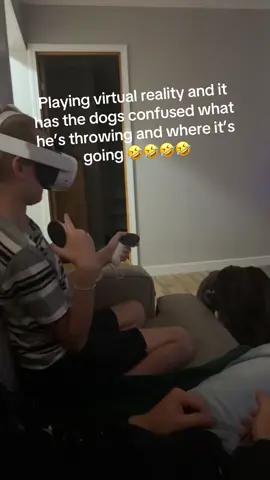 Virtual reailty gaming has our dogs going everywhere and dad has  already been punched twice tonight. 🤣🤣🤣