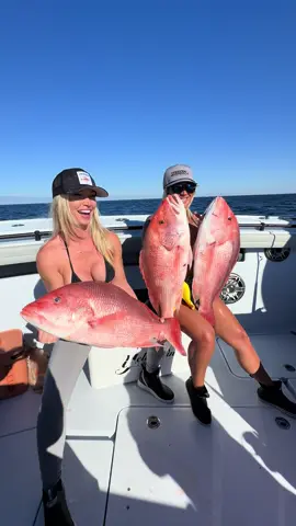Caught us some big boys today!! 😜🎣 @Brittany Tareco @Hookd Charters #fishing #foryou #boat #girlswhofish #fishingtrip #fishingtiktoks #offshore #redsnapper 